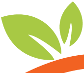 Orange art factory mobile logo